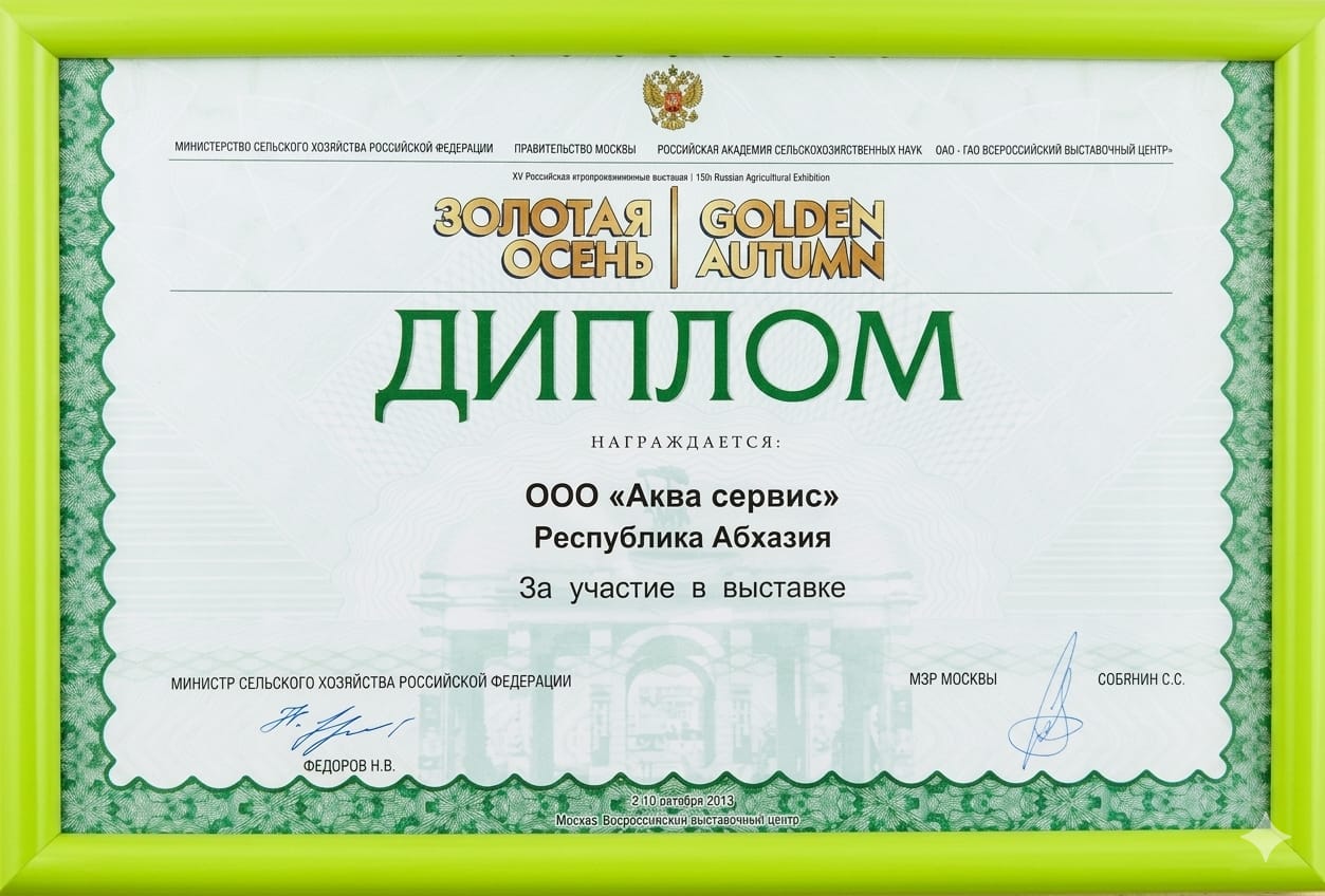 Диплом участия