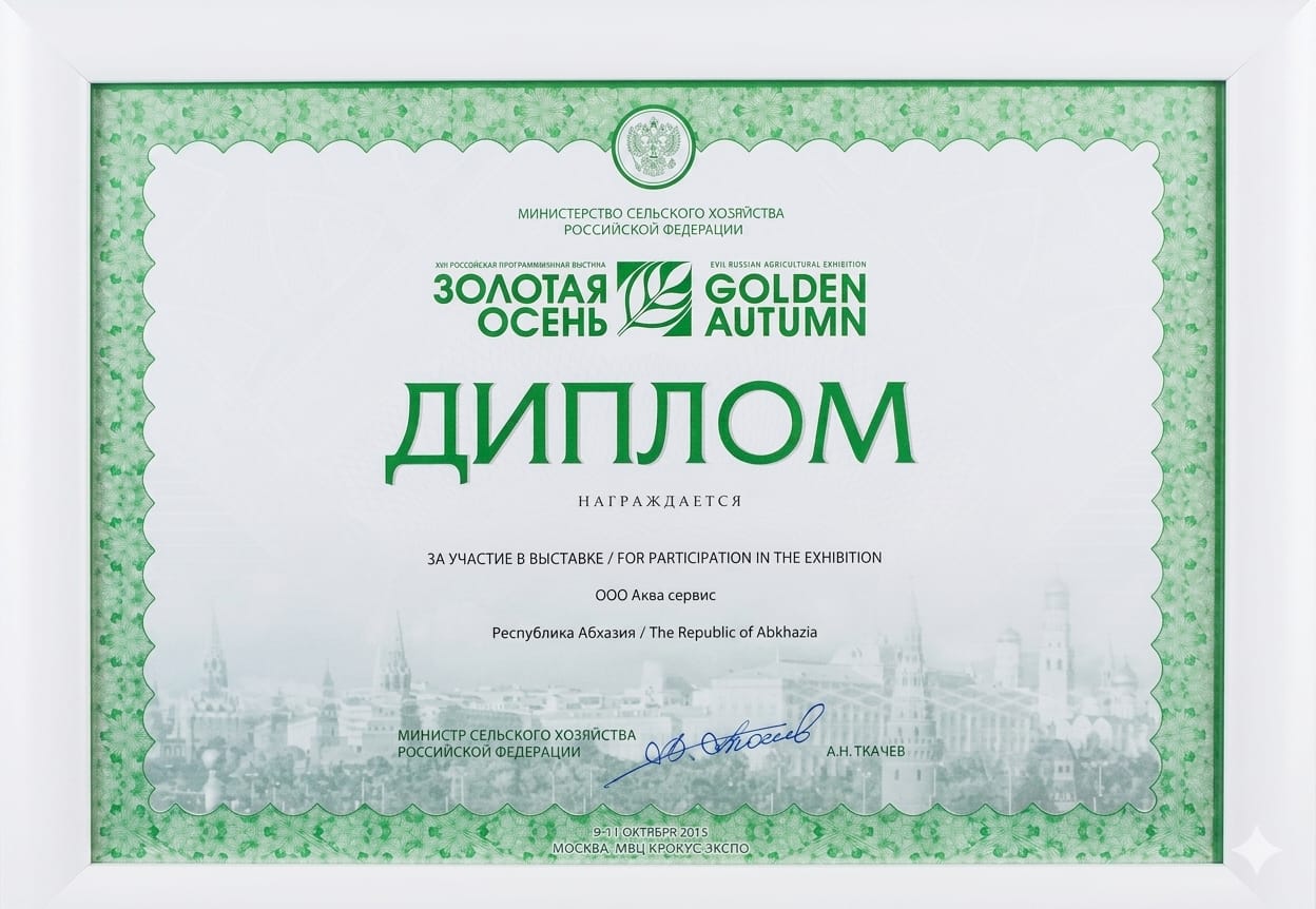 Диплом 4